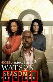 华生第二季：独立侦探路