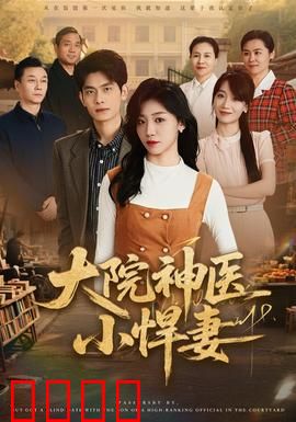 大院神医小悍妻：医手遮天