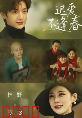 迟爱不逢春：错过的时光