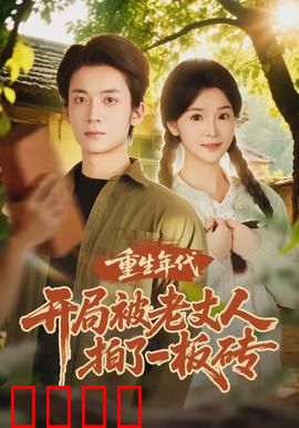 重生年代开局被老丈人拍了一板砖：财富逆袭