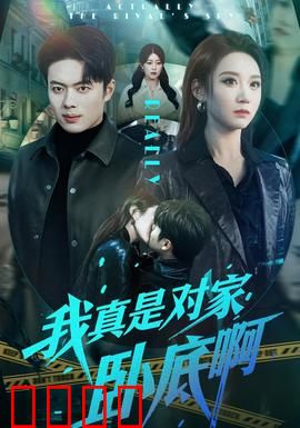 我真是对家卧底啊：双面谍影