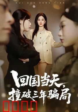 回国当天，撞破三年骗局：血泪教训