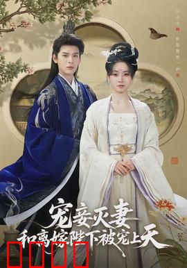 宠妾灭妻，和离嫁陛下被宠上天：逆袭皇后