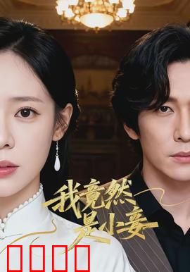 我竟然是小妾：逆袭正妻之路