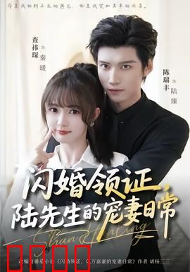 闪婚领证，陆先生的宠妻日常：先婚后爱甜宠