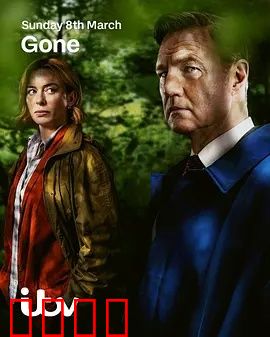 消失的妻子Gone：惊心反转之谜