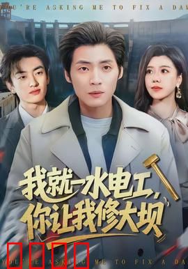 我就一水电工，你让我修大坝：逆袭大坝危机