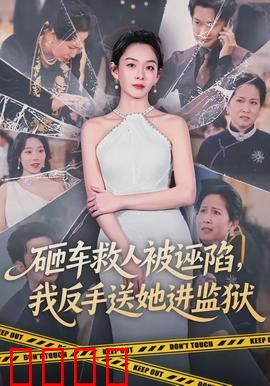 砸车救人被诬陷，我反手送她进监狱：正义不会迟到