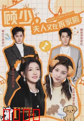 顾少，夫人又在拆家啦：爆笑拆家日常