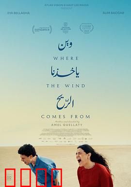 风来之所：风之秘咒