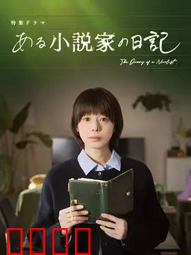 某小说家的日记：创作与救赎