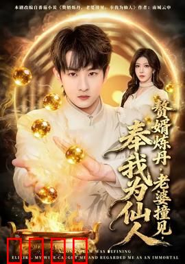 赘婿炼丹，老婆撞见，奉我为仙人：凡人成仙路