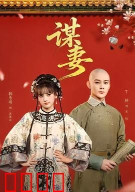 谋妻：失踪背后的阴谋