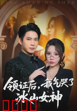 领证后，我气哭了冰山女神：总裁追妻火葬场