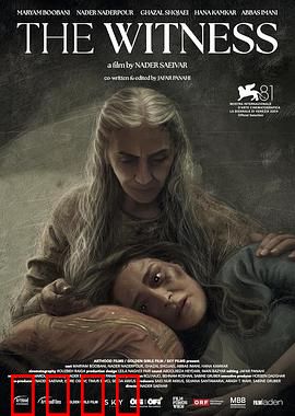 证人2024：真相之眼