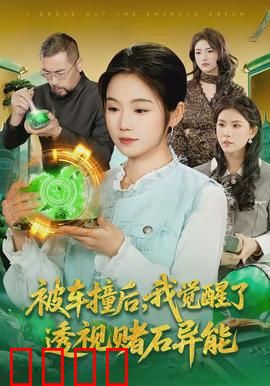 被车撞后，我觉醒了透视赌石异能了：一夜暴富