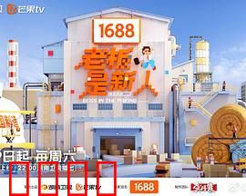 老板是新人：菜鸟上位记