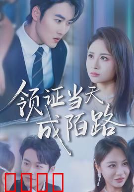 领证当天成陌路：爱已过期