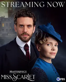 斯嘉丽小姐探案集第六季：连环迷局