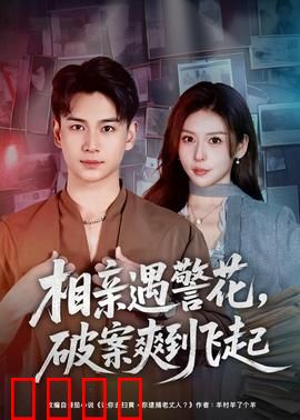 相亲遇警花，破案爽到飞起：警花联手破奇案