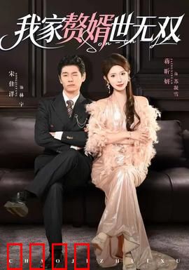 我家赘婿世无双：逆袭之路