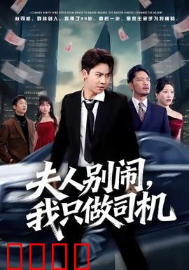 夫人别闹我只做司机：高冷总裁的专属司机