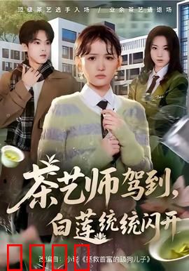 茶艺师驾到白莲统统闪开：茶道降维打击