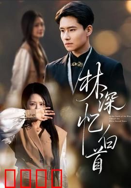 林深忆白首：失忆爱恋