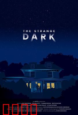 奇异黑暗：暗夜之光