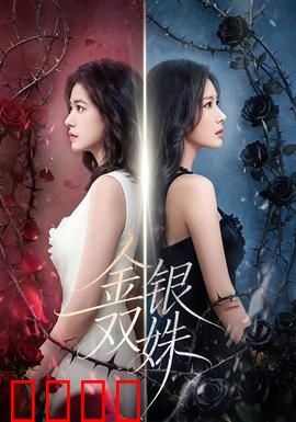 金银双姝：姐妹夺宝奇缘