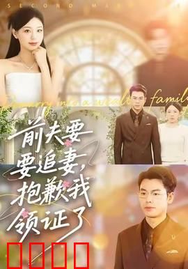 前夫要追妻，抱歉我领证了：离婚后我嫁给了大佬