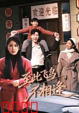 到此飞鸟不相逢：爱已成殇