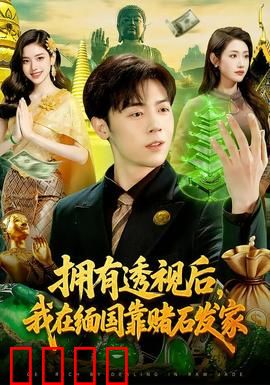 拥有透视后，我在缅国靠赌石发家：透视赌石翻身