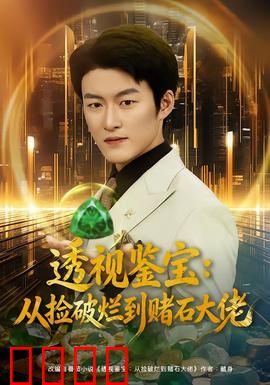 透视鉴宝：一眼辨真假