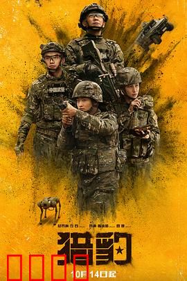 猎豹：绝境反击