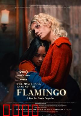 弗拉明戈的神秘眼神：舞动命运之谜