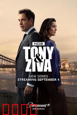 海军罪案调查处：悬案终结者