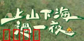 上山下海过一夜：荒野求生记
