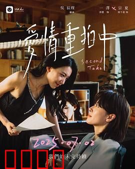 爱情重拍中：摄影机后的爱情