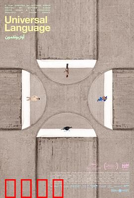 共同的语言：超越国界的温暖