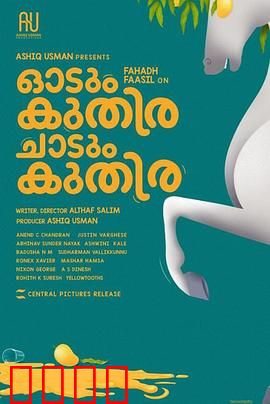 一匹马奔跑，一匹马跳跃：命运的两种姿态