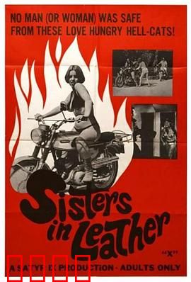 皮衣姐妹：复仇联盟