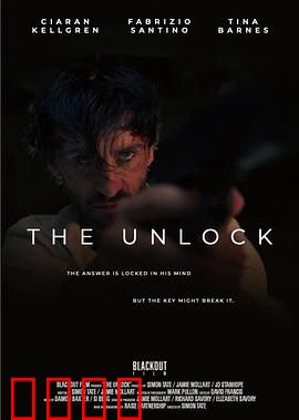 解码危机：数字迷城