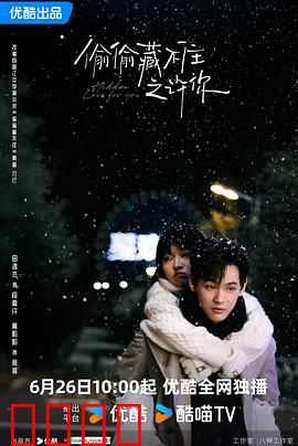 偷偷藏不住之许你：暗恋终成光