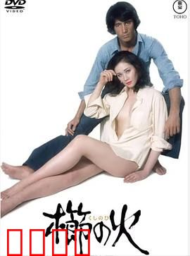 梳之火：烈焰梳情