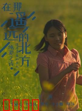 在那遥远的北方：极境求生