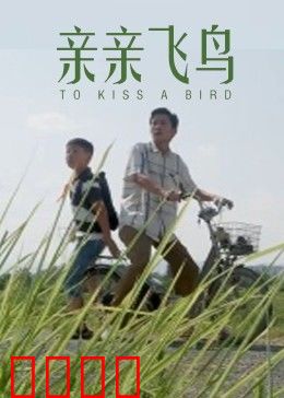 亲亲飞鸟：爱与飞翔