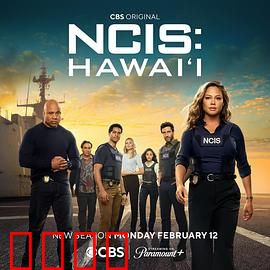 海军罪案调查处：暗潮涌动