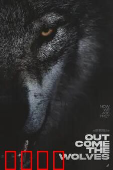 狼群出动：冰原围猎