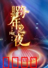 2025北京卫视跨年：星光盛宴